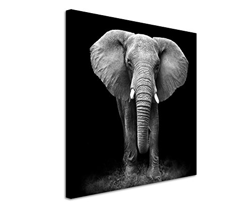 Unique Fine Art Print auf Leinwand 90x90cm Tierbilder – Großer Elefanten von vorne schwarz weiß von Unique