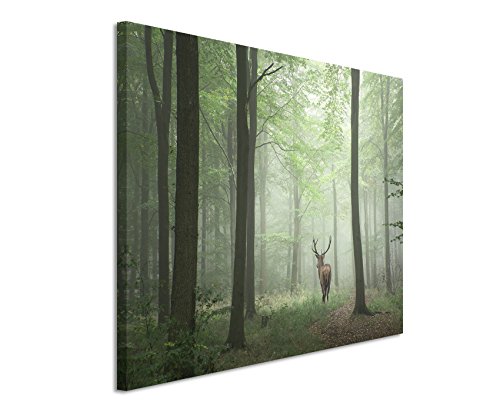 Unique Fotoleinwand 120x80cm Landschaftsfotografie – Hirsch im Nebelwald von Unique