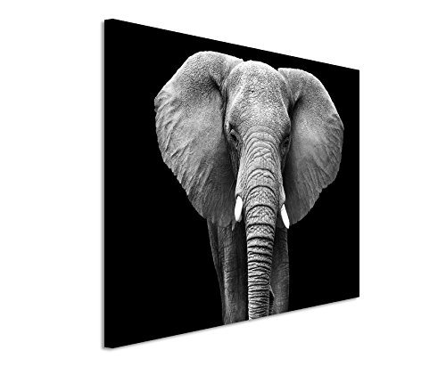 Unique Fotoleinwand 120x80cm Tierbilder – Großer Elefanten von vorne schwarz weiß von Unique