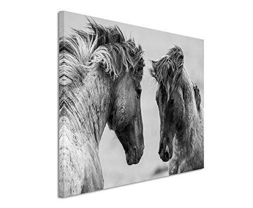 Unique Fotoleinwand 120x80cm Tierbilder – Kämpfende Pferde schwarz weiß von Unique