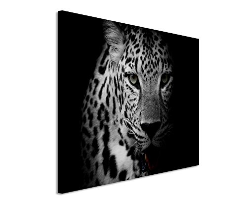 Unique Fotoleinwand 120x80cm Tierbilder – Porträt eines Leoparden schwarz weiß von Unique