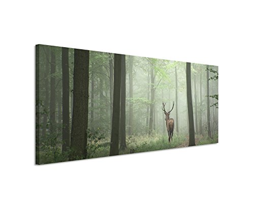 Unique Wunderschönes Wandbild 150x50cm Landschaftsfotografie – Hirsch im Nebelwald von Unique