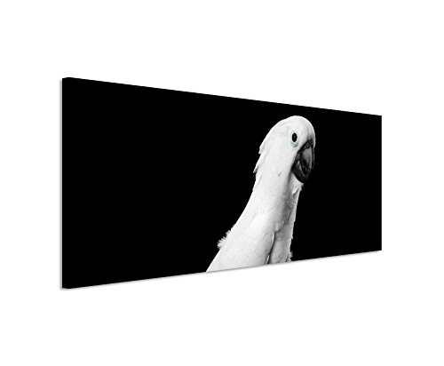 Wunderschönes Wandbild 150x50cm Tierbilder – Putziger Kakadu schwarz weiß von Unique