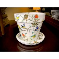 Schöner 6 "Frühlingsvögel Blumentopf, Terrakotta-Ton, Vogel-Liebhaber-Geschenk, Sing-Vögel, Buntes Innen-Gartengeschenk Für Sie von UniqueHomeDecorBySue
