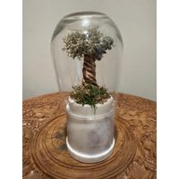 Konservierte Moos Und Ton Baum Terrarium Skulptur, Faux Bonsai, Marmor Akzent - Uniquelee Art Konservierte Moos Und Ton Baum Terrarium Skulptur, Faux Bonsai, Marmor Akzent - Uniquelee Art von UniqueLeeArt
