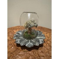 Moos Baum Terrarium, Faux Bonsai, Marmor Lotus Blume Terrarium Moos Baum Terrarium, Faux Bonsai, Marmor Lotus Blume Terrarium von UniqueLeeArt