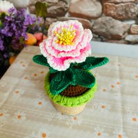 Hand Gehäkelte Niedliche Pfingstrose Blumentopf Ornamente Artefakt Handwerk Wohnkultur Amigurumi Geschenke Für Sie von UniqueWeaveShop