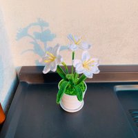Handgemachte Häkeln Süße Zephyranthes Rainlily Eingemachte Ornamente Artefakt Handwerksblume Wohnkultur Amigurumi Geschenke Für Sie Handgemachte Häkeln Süße Zephyranthes Rainlily Eingemachte Ornamente Artefakt Handwerksblume Wohnkultur Amigurumi Geschenke Für Sie von UniqueWeaveShop