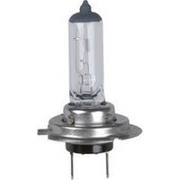 Unitec - Halogenlampe H7 12V 55W Beleuchtung Unitec - Halogenlampe H7 12V 55W Beleuchtung von Unitec