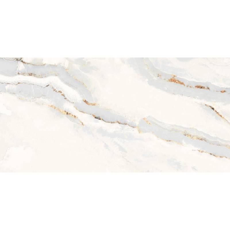 Bodenfliese Feinsteinzeug 60 cm x 30 cm von United Tile