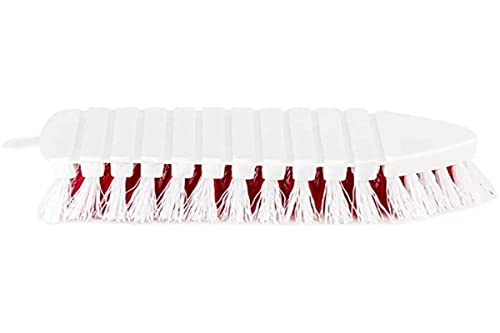 Universal 77444 Ergonomische Bürste aus Polypropylen Farben 1250 16,5 x 7 x 4 cm Barbosa, bunt Universal 77444 Ergonomische Bürste aus Polypropylen Farben 1250 16,5 x 7 x 4 cm Barbosa, bunt von UNIVERSAL