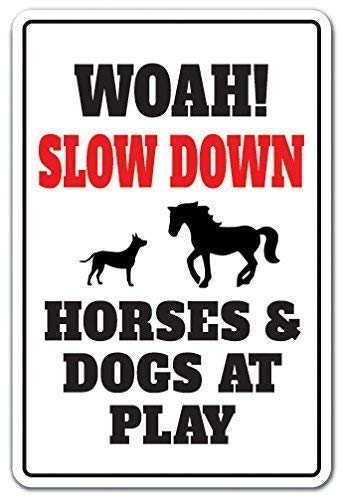 Not Applicable Slow Down Horses & Dogs at Play Animal Joke Speed Limit Driving Schild Man Cave Dekorativ 20,3 x 30,5 cm Metall Blechschild Dekoration Eisen Malerei von Unknown