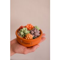 Kaktus Duftkerze, Sojawachs Kerze, Handgefertigte Sojawachs Kerze, Vegane Kerzen, Kerzen, Kerzen, Kerzen, Kerzen, Kerze Kaktus Duftkerze, Sojawachs Kerze, Handgefertigte Sojawachs Kerze, Vegane Kerzen, Kerzen, Kerzen, Kerzen, Kerzen, Kerze von UnonaCandles