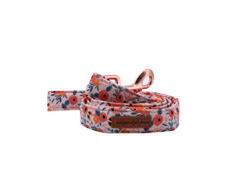 Unique Style Paws Hundehalsband Fliege Halsband Verstellbare Halsbänder oder Hundeleinen für Hunde und Katzen Klein Mittelgroß Groß von Unique style paws