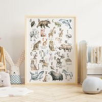 Alphabet Tierposter Din A3 Und A4 | Zahlenposter Mit Tieren Set Zahlen Poster von UnvergMomenteDesign