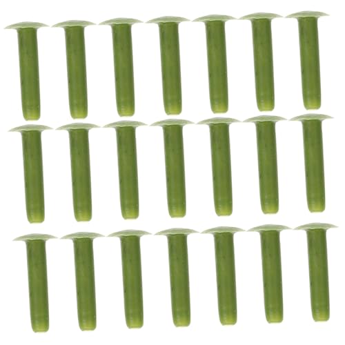 Uonlytech 100 Stück Künstliche Blumenstangen Nägel Kunststoff Blumennägel für Selbstgemacht Blumenarrangements Praktische Werkzeuge für Floristen für Kreative Floralgestaltung und Dekoration Uonlytech 100 Stück Künstliche Blumenstangen Nägel Kunststoff Blumennägel für Selbstgemacht Blumenarrangements Praktische Werkzeuge für Floristen für Kreative Floralgestaltung und Dekoration von Uonlytech