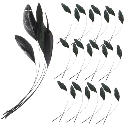 Uonlytech 100 Stück Schwarze Hühnerfedern für DIY Handwerke Natürliche Federn für Hochzeitsdekorationen Party Accessoires und Bastelprojekte Uonlytech 100 Stück Schwarze Hühnerfedern für DIY Handwerke Natürliche Federn für Hochzeitsdekorationen Party Accessoires und Bastelprojekte von Uonlytech