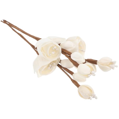 Uonlytech 3stücke Teiliges Aromastäbchen Reispapier Für Diffusoren Duftstäbchen Für Zuhause Badezimmer Schlafzimmer Und Büro Design Für Entspannende Uonlytech 3stücke Teiliges Aromastäbchen Reispapier Für Diffusoren Duftstäbchen Für Zuhause Badezimmer Schlafzimmer Und Büro Design Für Entspannende von Uonlytech