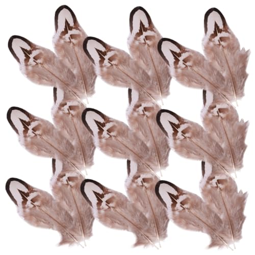 Uonlytech 50 Stück Naturfedern für DIY Handwerk Dekorative Federn Hochzeitsdekoration Masken Kunstprojekte und Heimverzierungen von Uonlytech