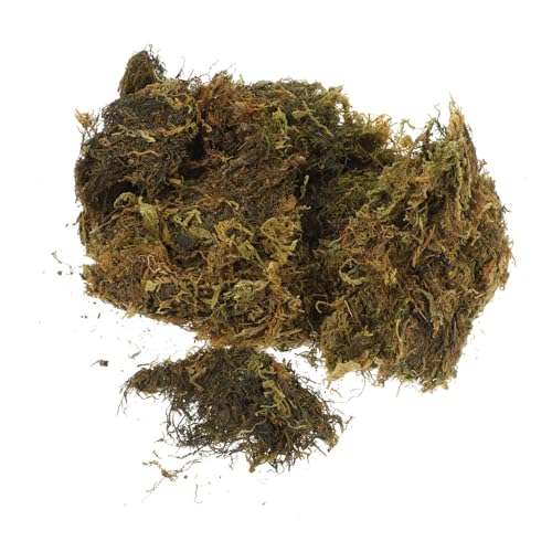 Uonlytech 1tasche Flechtenmoos Für Topfpflanzen Und Terrarien Naturdekor Für Garten Und Wand DIY-Material Für Blumenarrangements Und Bastelarbeiten von Uonlytech
