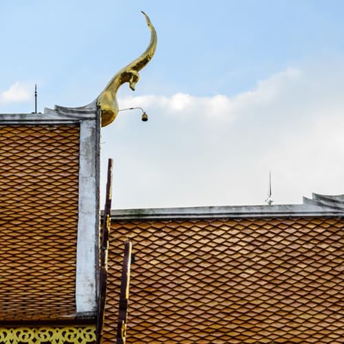 Uonlytech Edelstahl Blitzableiter Schutzstab für Hausdach Langlebiger Wetterfester Dachschutz mit Präziser Verarbeitung Korrosionsbeständig Effektive Entladung für Zuverlässigen Uonlytech Edelstahl Blitzableiter Schutzstab für Hausdach Langlebiger Wetterfester Dachschutz mit Präziser Verarbeitung Korrosionsbeständig Effektive Entladung für Zuverlässigen von Uonlytech