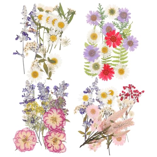 Uonlytech 4taschen Getrocknete Blumen Naturfarben DIY Handwerksmaterialien Beutel Blumenaccessoires Für Basteln Und Dekoration Uonlytech 4taschen Getrocknete Blumen Naturfarben DIY Handwerksmaterialien Beutel Blumenaccessoires Für Basteln Und Dekoration von Uonlytech