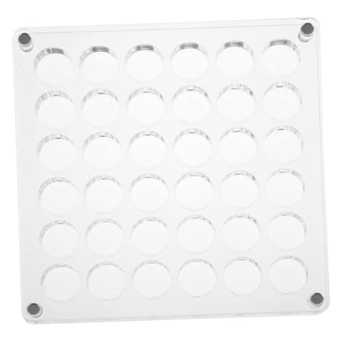 Uonlytech Muschel-aufbewahrungsbox Aus Acryl Mini-displaybox Für Steine Und Schmuck Mit Runden Gittern Für Ordnung Und Transport von Uonlytech