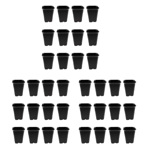 Uooduby 36 Stücke Pack Schwarzes Quadrat Kunststoff Sukkulenten Blumen Topf für Pflanzen Blumen, Etc., Schwarz Kinder Garten Blumen Topf von Uooduby