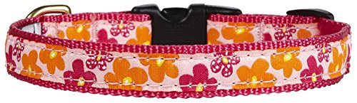 Up Country FLO-C-L Flower Power Hundehalsband, Breit 1 inch, L von Up Country
