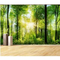 Schöne Grüne Sonnige Waldwand Wandbild Schälen Und Aufkleben Vinyl Tapete Modernes Wanddekor Wohnzimmer Hintergrund Wandbilder Schöne Grüne Sonnige Waldwand Wandbild Schälen Und Aufkleben Vinyl Tapete Modernes Wanddekor Wohnzimmer Hintergrund Wandbilder von UpGreat