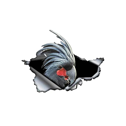 Auto 3D Aufkleber, 2 Stück Reflektierende Autoaufkleber Auto Karosserie Dekor Selbstklebend Auto Motorhaube Aufkleber Wasserdicht DIY Aufkleber Sticker Auto Styling Dekoration Aufkleber,Papagei #1 von Uposao