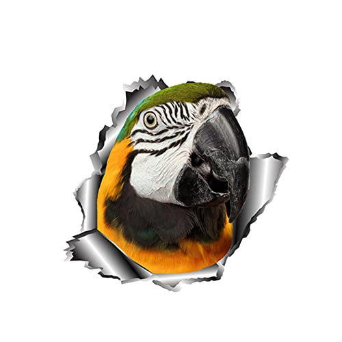 Auto 3D Aufkleber, 2 Stück Reflektierende Autoaufkleber Auto Karosserie Dekor Selbstklebend Auto Motorhaube Aufkleber Wasserdicht DIY Aufkleber Sticker Auto Styling Dekoration Aufkleber,Papagei #4 von Uposao