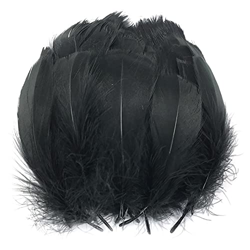 Uposao 200 Stück Natur Gänsefedern, 6-12cm Natürliche Naturfedern Gänsefedern zum Basteln DIY Deko Federn für DIY Traumfänger Ohrringe Karneval Fasching Kostüm Verzierungszubehör,Schwarz Uposao 200 Stück Natur Gänsefedern, 6-12cm Natürliche Naturfedern Gänsefedern zum Basteln DIY Deko Federn für DIY Traumfänger Ohrringe Karneval Fasching Kostüm Verzierungszubehör,Schwarz von Uposao