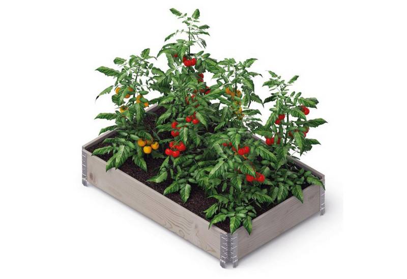 Upyard Hochbeet GardenBox ECO - Palettenrahmen 15 mm Stärke - stapelbar, modularer Aufbau für maximale Individualität im Garten Upyard Hochbeet GardenBox ECO - Palettenrahmen 15 mm Stärke - stapelbar, modularer Aufbau für maximale Individualität im Garten von Upyard