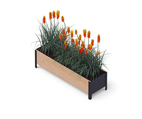 Upyard Holz Hochbeet für Garten, Terrasse und Balkon - Blumenkasten mit Innenvlies und wasserdichter Kunststoffeinlage - Pflanzkasten für Innen- und Außenbereich, 118x36x32, Braun von Upyard