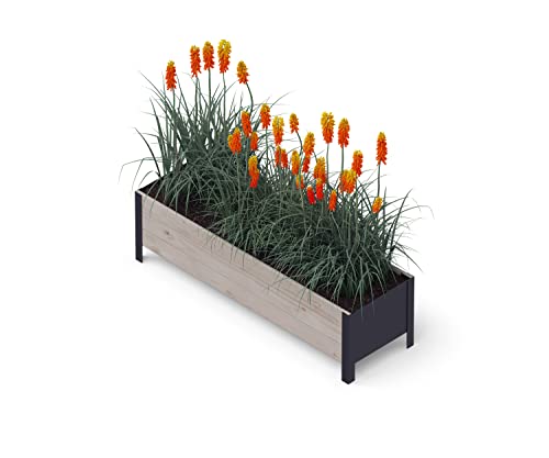 Upyard Holz Hochbeet für Garten, Terrasse und Balkon - Blumenkasten mit Innenvlies und wasserdichter Kunststoffeinlage - Pflanzkasten für Innen- und Außenbereich, 118x36x32, Grau von Upyard