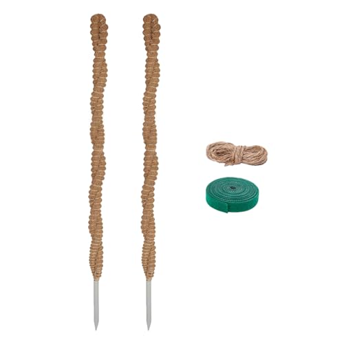Moosstangen für Zimmerpflanzen, biegbare Pflanze, mit Gartenwerkzeug-Seil zum Klettern, Wachstumsbeutel, 63,5 cm von Uqezagpa