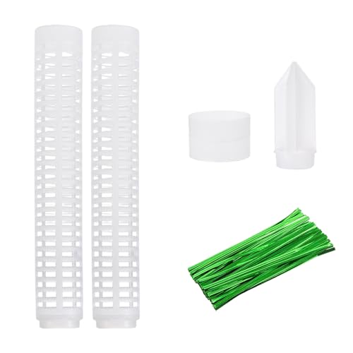 Pflanzenstützstab Moosstab Indoor Pflanztöpfe Ständer Grün Dill Rebe Garten Stützzubehör Bewässerung Moosstab Pflanzenstützstab Moosstab Indoor Pflanztöpfe Ständer Grün Dill Rebe Garten Stützzubehör Bewässerung Moosstab von Uqezagpa