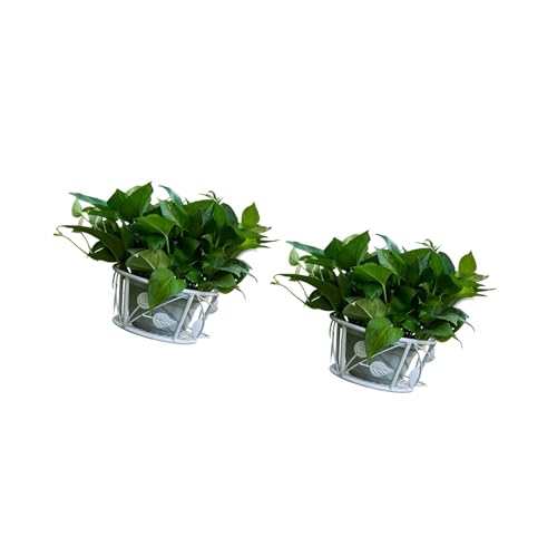 Uqezagpa Versatiles Eisen Pflanzenhalter Dekorative Metall Blumentöpfe Halter Für Fensterbank Regale Dekorative Blätter Motive Multifunktional Balkon Lagerregal von Uqezagpa