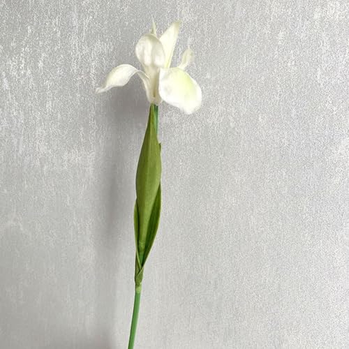 UrbanHui Künstliche Iris Blumen Seide Pflanze Home Hochzeit Dekor Realistisch aussehendes Blumenarrangement 47 cm lang 10 cm Durchmesser verschiedene Farben (weiß und grün) von UrbanHui