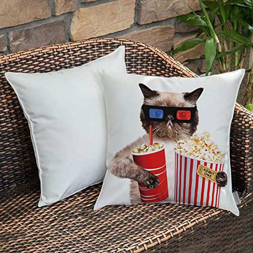 Kissenbezug 45x45 cm,Kino Dekor, Katze mit Popcorn und Drink Watching Movie Glasses Enterta,Outdoor Kissen Kissenbezüge Kissenhülle Sofa Kissen dekokissen Zierkissen für Wohnzimmer Garten deko draußen von Urbanrags