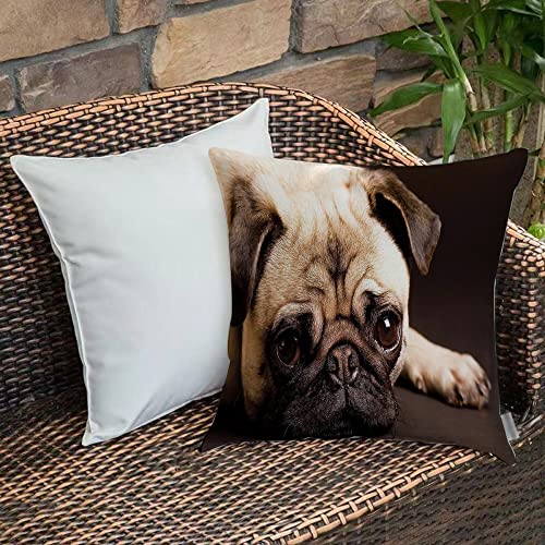 Kissenbezug 45x45 cm,Mops, niedliche Fotografie eines Mops mit seinen kleinen Pfoten reinra,Outdoor Kissen Kissenbezüge Kissenhülle Sofa Kissen dekokissen Zierkissen für Wohnzimmer Garten deko draußen von Urbanrags