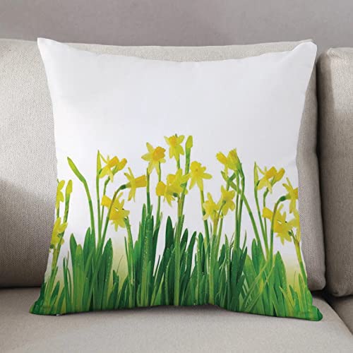 Kissenbezug 50 x 50 cm,Narzissen Dekor, Narzissen und Narzissen Haufen April Blumen Feld Seads nat,Dekor Kissenhülle Kissenbezüge mit Verstecktem Reißverschluss, Couchkissen,Sofakissen Kopfkissenbezug von Urbanrags