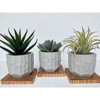 Künstliche Sukkulentenpflanze in Handgefertigtem Betontopf Mit Holztablett - Aloe Vera, Eispflanze Oder Luftpflanze Schwimmendes Regaldekor von UrsinasDecoShop