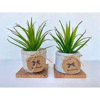 Künstliche Sukkulente in Handgefertigtem Betontopf Mit Holztablett - Kunstpflanze Schwebendes Regaldekor von UrsinasDecoShop