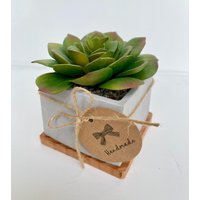 Künstliche Sukkulentenpflanze in Handgemachtem Betontopf Mit Holztablett - Unechte Pflanze Schwimmendes Regaldekor von UrsinasDecoShop