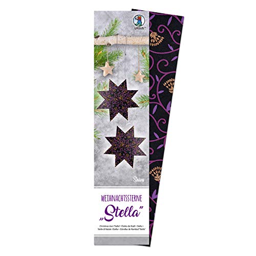 Ursus 16170000 - Weihnachtsstern Stella Shiva, schwarz/lila/kupfer, 110 g, ca. 7 x 30 cm, 33 Blatt, beidseitig bedruckt, einseitig mit Glitter veredelt, inklusive Faltanleitung Ursus 16170000 - Weihnachtsstern Stella Shiva, schwarz/lila/kupfer, 110 g, ca. 7 x 30 cm, 33 Blatt, beidseitig bedruckt, einseitig mit Glitter veredelt, inklusive Faltanleitung von Ursus