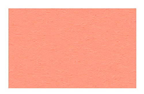 Ursus 2174642 - Tonzeichenpapier koralle, DIN A4, 130 g/qm, 100 Blatt, durchgefärbt, hohe Farbbrillanz und Lichtbeständigkeit, aus Frischzellulose, ideale Grundlage für zahlreiche Bastelarbeiten von Ursus