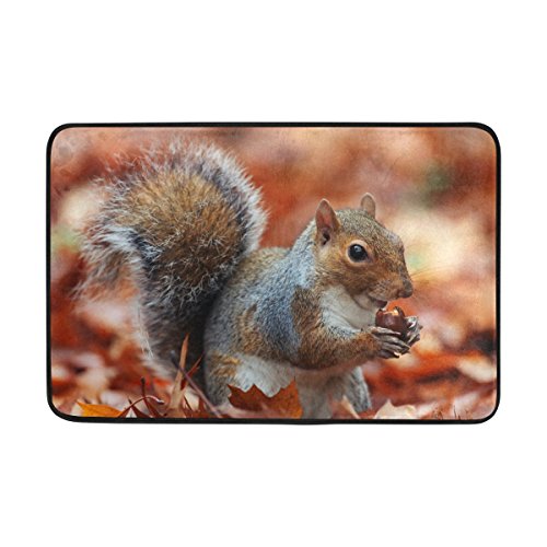Use7 Fußmatte Herbst Wald Eichhörnchen Innen Außen Eingang Fußmatte Badezimmer 60 x 40 cm von ANGEL CITIZ