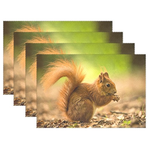 Use7 Platzdeckchen Herbstblatt Eichhörnchen Tischset Tischset 30,5 x 45,7 cm Polyester Tischmatte für Küche Esszimmer, Polyester, Multi, Package Quantity: 6 von Use7